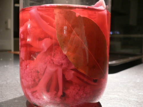 cavolofiori giardinieri.JPG